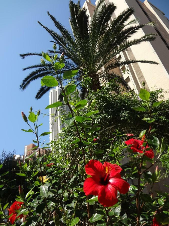 Best View - Welcome Penthouse Apartamentos Karola Бенідорм Екстер'єр фото